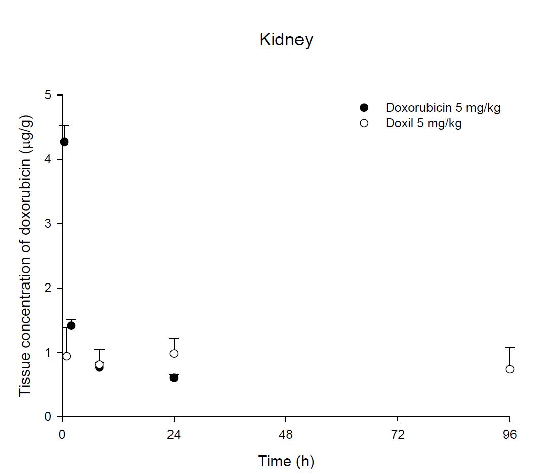 Time courses of doxorubicin amount in the kidney after an intravenous injection of DOX or Doxil® 5 mg/kg in female ICR mice