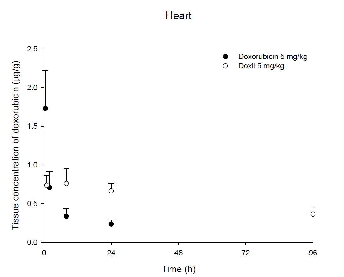 Time courses of doxorubicin amount in the heart after an intravenous injection of DOX or Doxil® 5 mg/kg in female ICR mice