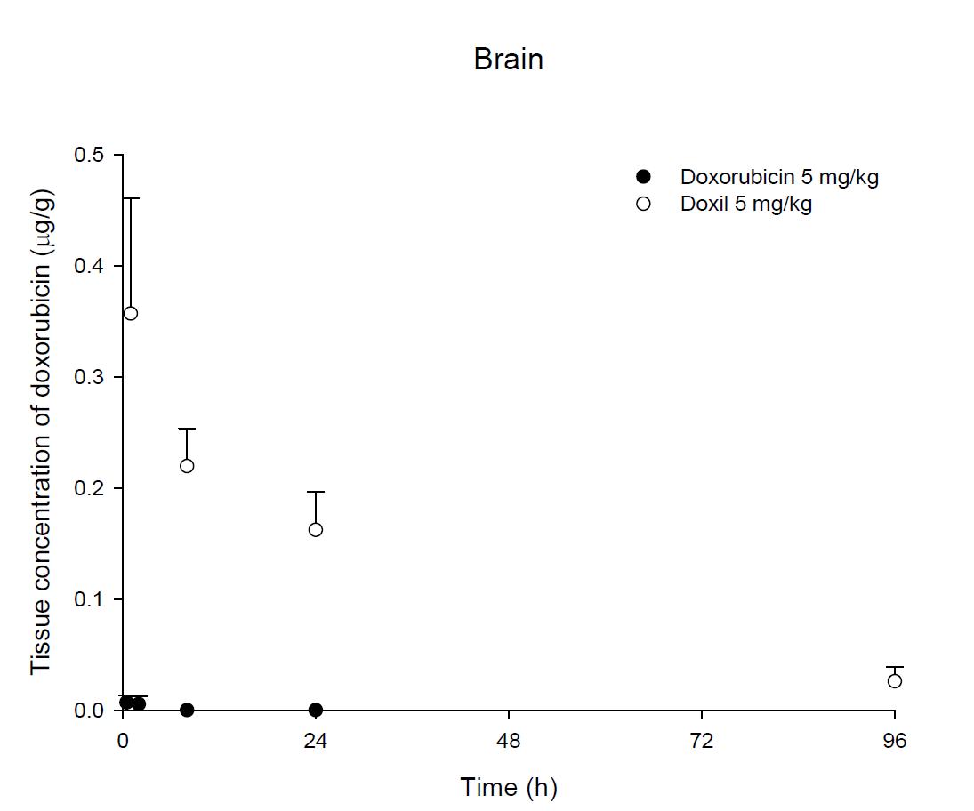 Time courses of doxorubicin amount in the brain after an intravenous injection of DOX or Doxil® 5 mg/kg in male ICR mice