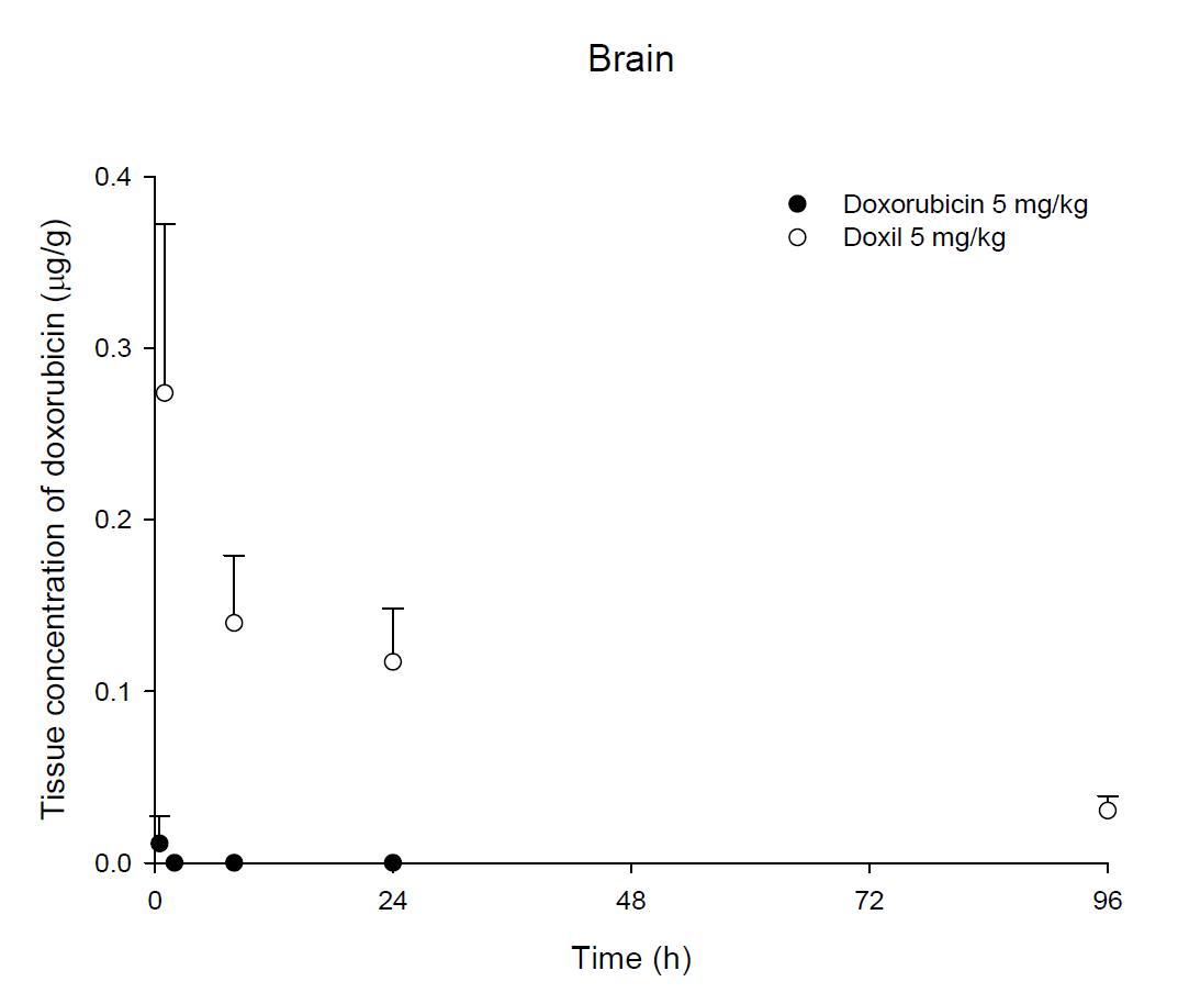 Time courses of doxorubicin amount in the brain after an intravenous injection of DOX or Doxil® 5 mg/kg in female ICR mice