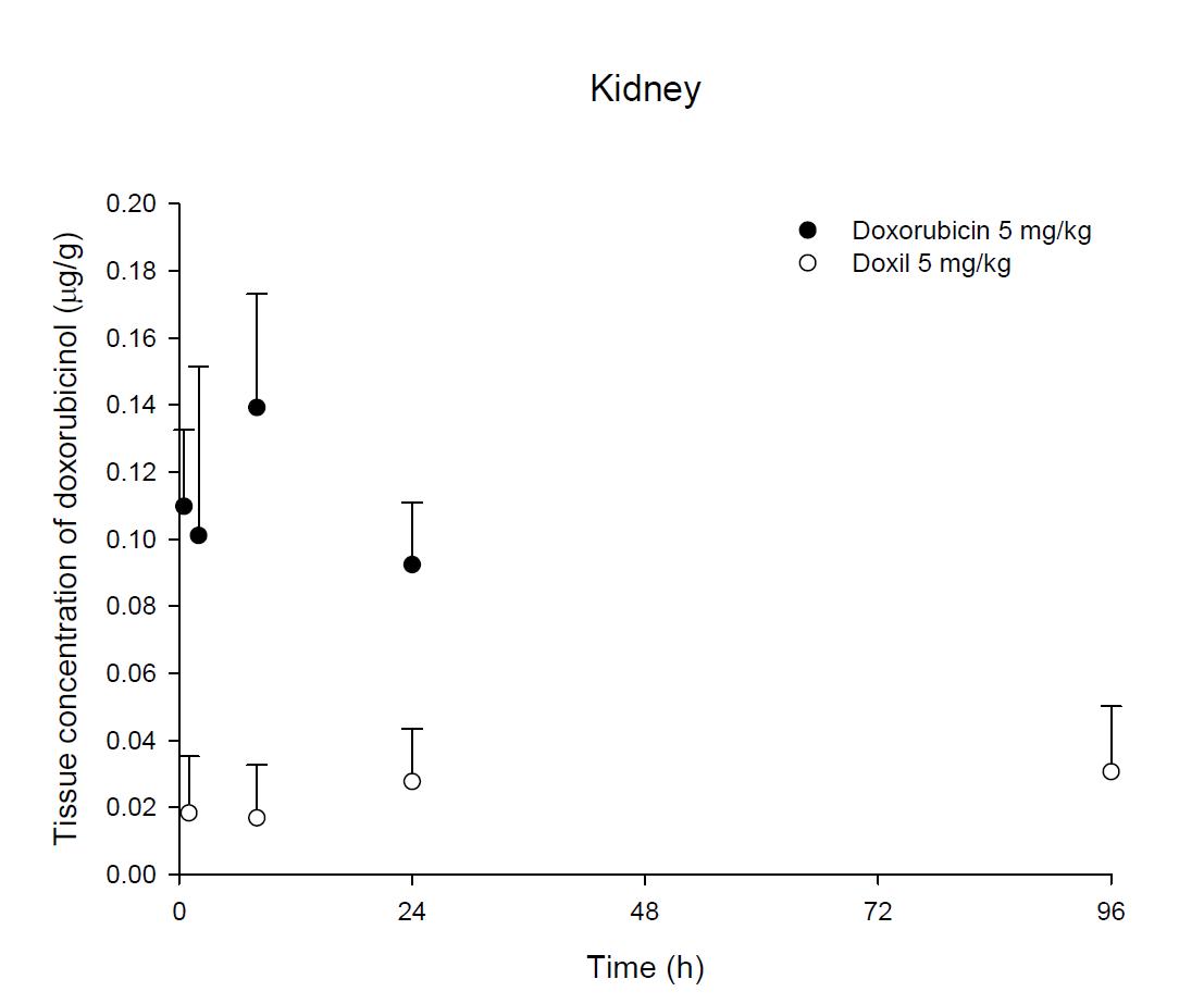 Time courses of doxorubicin amount in the kidney after an intravenous injection of DOX or Doxil® 5 mg/kg in male ICR mice