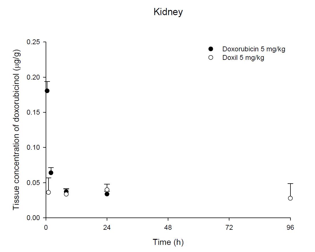 Time courses of doxorubicin amount in the kidney after an intravenous injection of DOX or Doxil® 5 mg/kg in female ICR mice