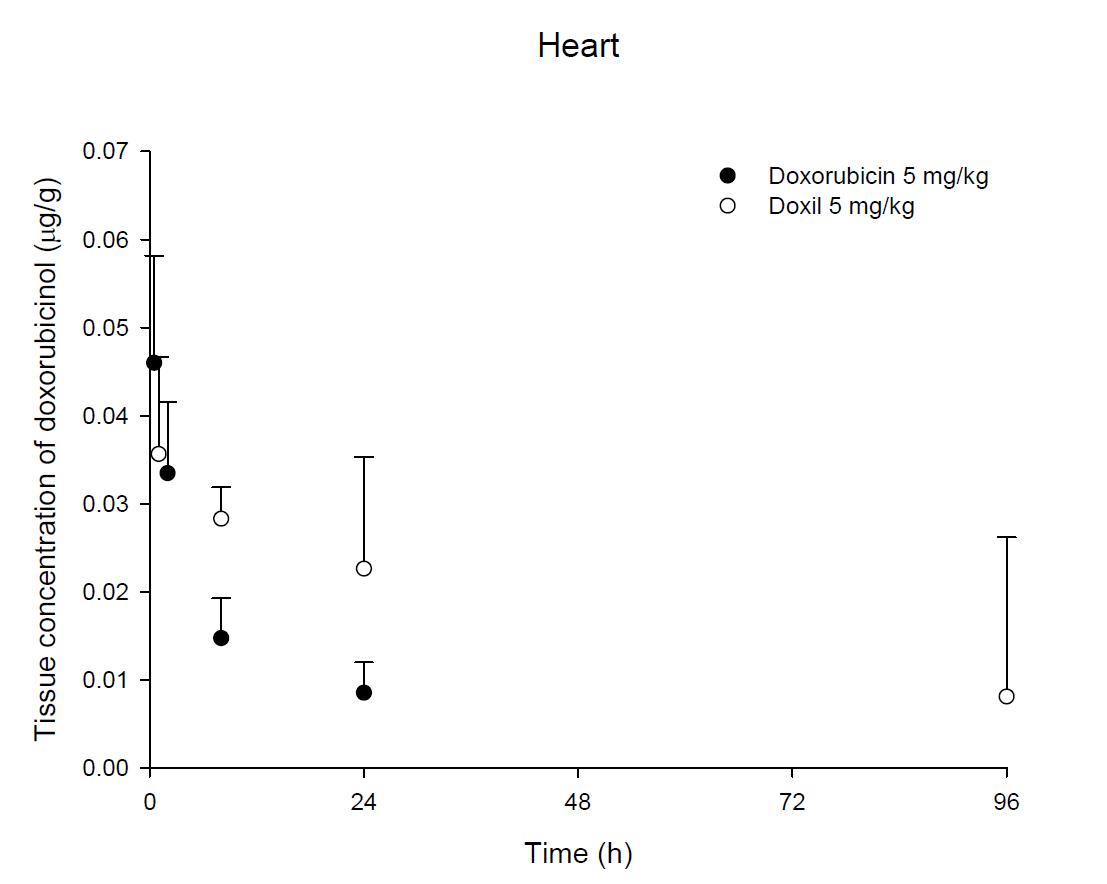 Time courses of doxorubicin amount in the heart after an intravenous injection of DOX or Doxil® 5 mg/kg in male ICR mice