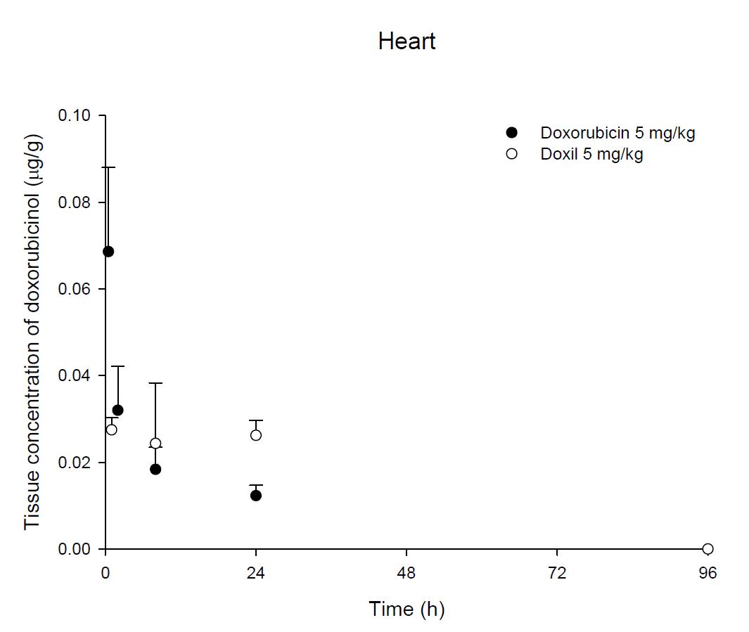 Time courses of doxorubicin amount in the heart after an intravenous injection of DOX or Doxil® 5 mg/kg in female ICR mice