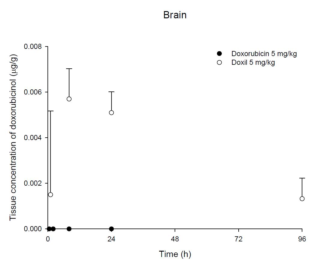 Time courses of doxorubicin amount in the brain after an intravenous injection of DOX or Doxil® 5 mg/kg in female ICR mice