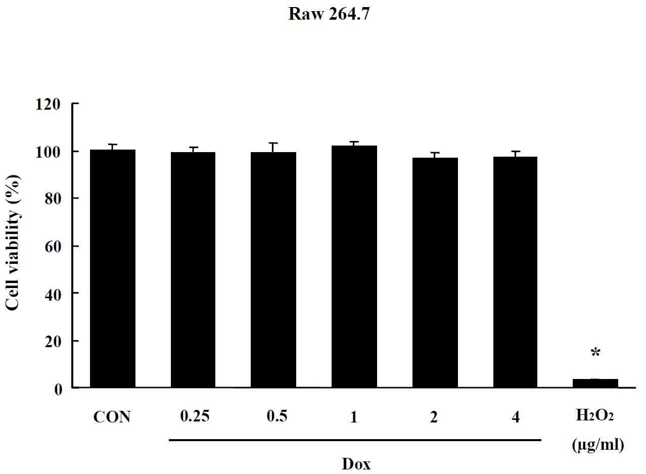 Effects of Liposome on MTT assay in Raw 264.7 cells. Cells were treated with drug for 24 hr. Data are shown as means ± SE (n = 5). * p<0.05, significantly different from the control.