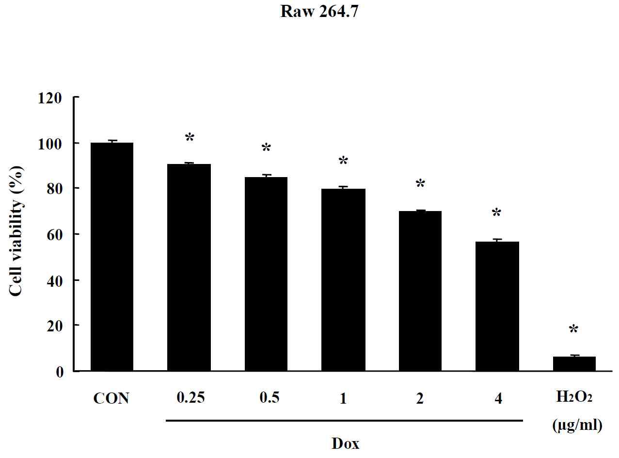 Effects of CNT on MTT assay in Raw 264.7 cells. Cells were treated with drug for 24 hr. Data are shown as means ± SE (n = 5). * p<0.05, significantly different from the control.