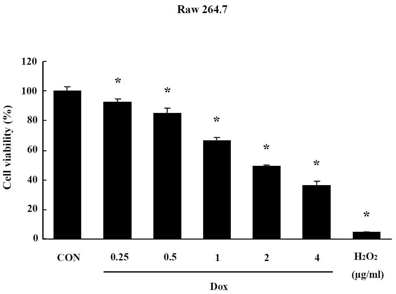 Effects of Doxil on MTT assay in Raw 264.7 cells. Cells were treated with drug for 24 hr. Data are shown as means ± SE (n = 5). * p<0.05, significantly different from the control