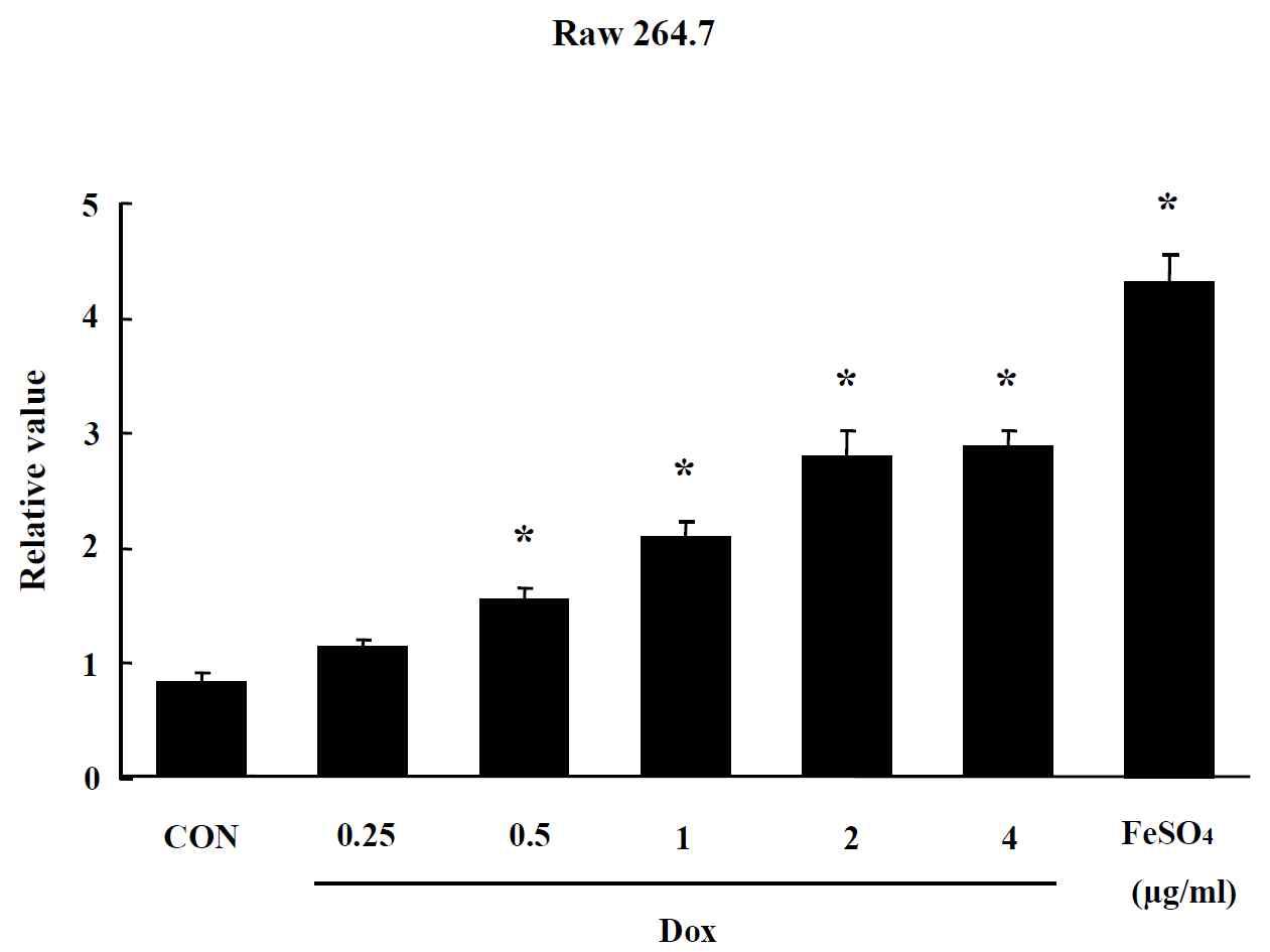 Effect of Dox-CNT on oxidative stress in Raw264.7 cells. The level of ROS production was expressed as the relative value of the untreated control group after 24 hr exposure to Dox-CNT. Data are shown as means ± SE (n = 5). * p<0.05, significantly different from the control.