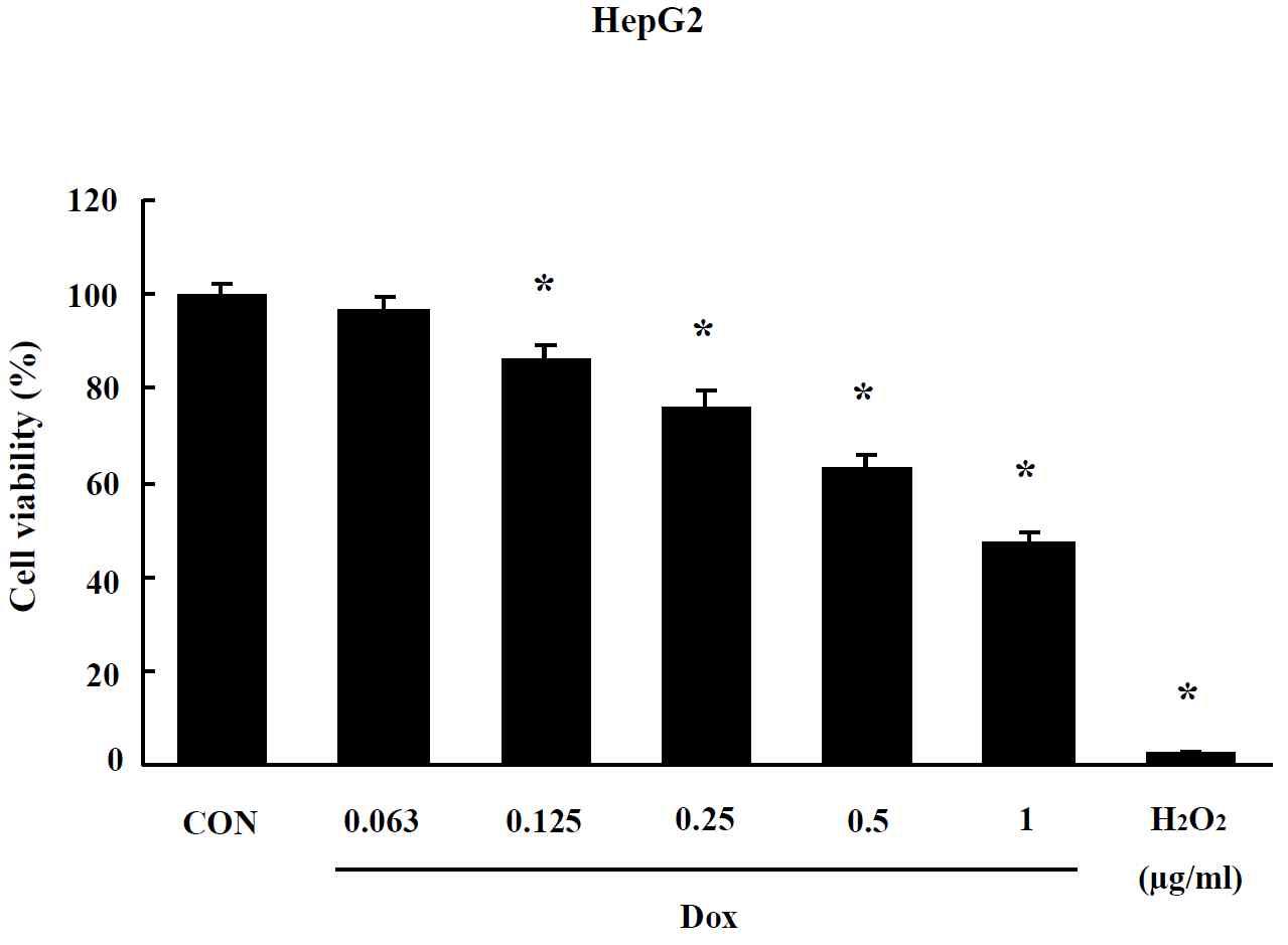 Effects of Dox-CNT on MTT assay in HepG2 cells. Cells were treated with drug for 24 hr. Data are shown as means ± SE (n = 5). * p<0.05, significantly different from the control