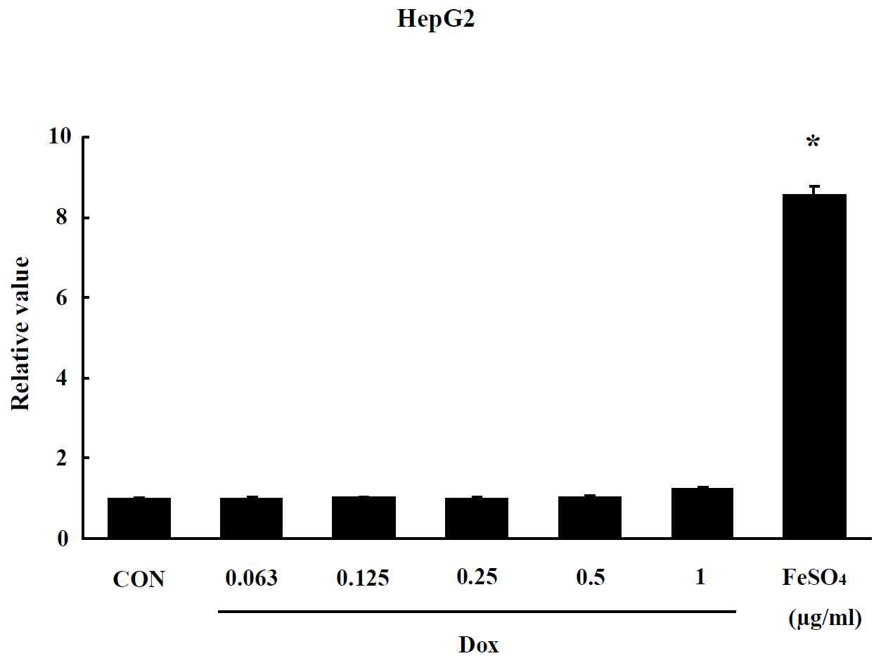 Effect of Liposome on oxidative stress in HepG2 cells. The level of ROS production was expressed as the relative value of the untreated control group after 24 hr me. Data are shown as means ± SE (n = 5). * p<0.05, significantly different from the control