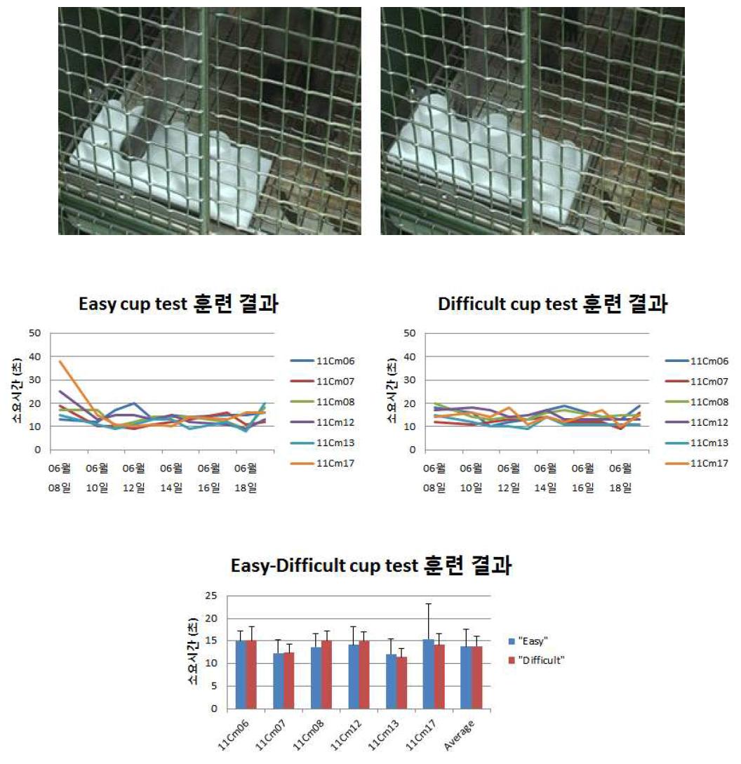 PD 게잡이원숭이 모델 행동학적 평가를 위한 훈련 결과 분석