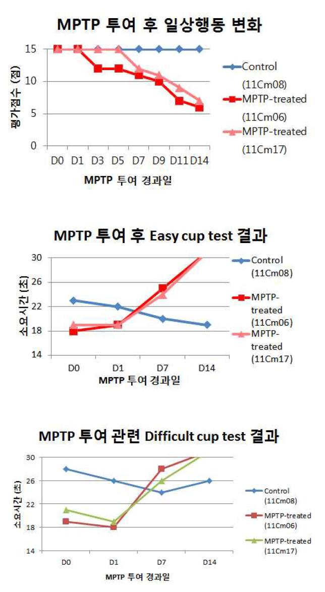 MPTP 투여 후 행동학적 평가 분석 결과