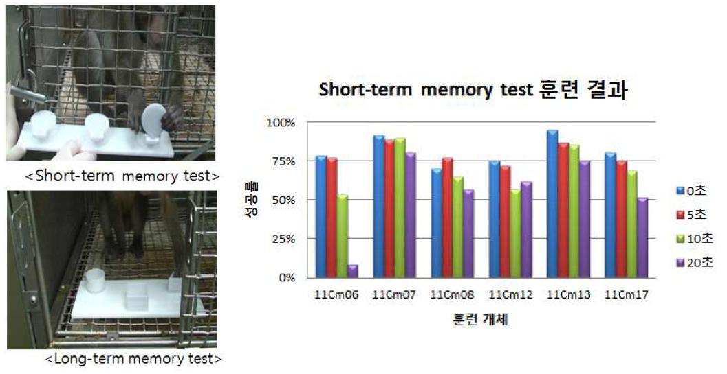 AD 게잡이원숭이 모델 행동학적 평가를 위한 훈련 결과 분석