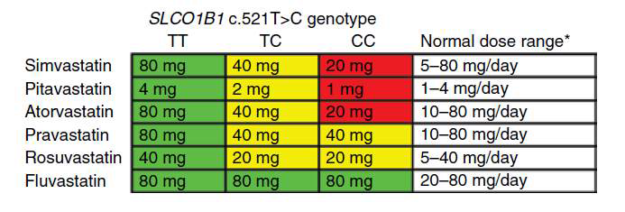 Recommended maximum statin doses for Caucasian adult patients according to SLCO1B1 genotype.