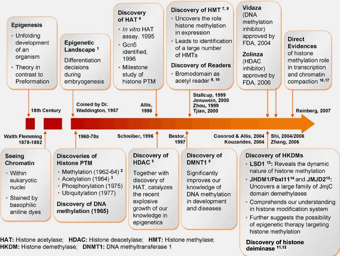 그림 1. 후성유전체 연구의 중요발견들