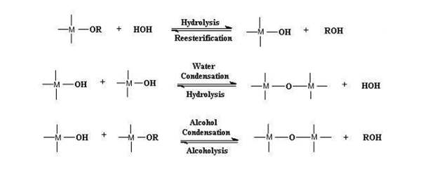Sol-gel reaction : hydrolysis and condensation reaction