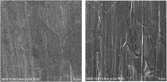 SEM images of the surface morphology of bare metal tape