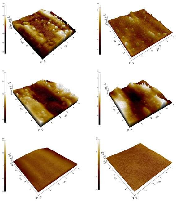 AFM images of the surface of (a) 5-cycle, (b)10-cycle, (c) 15-cycle, (d) 20-cycle, (e) 25-cycle, and (f) 30-cycle Y2O3 coating using 0.1 M solution.