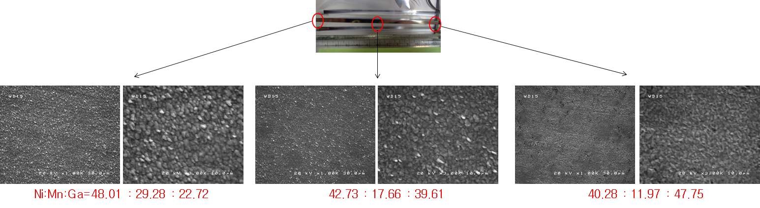 Surface Morphologies and composition variations of Ni-Mn-Ga alloy