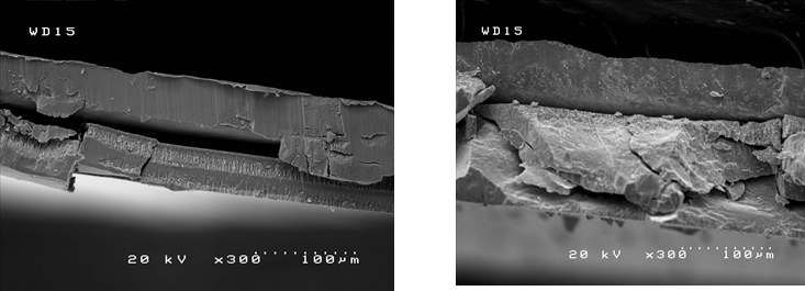 Cross-sections of Ni-Mn-Ga alloy film deposited on Ni alloy substrate