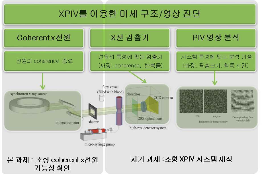 그림 4. 연구 개발의 최종 목표와 XPIV의 핵심 구성 요소.