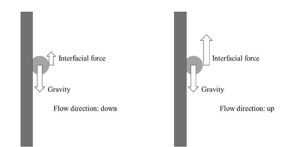 Principle and phenomena of entrainment limitation for thermosyphon