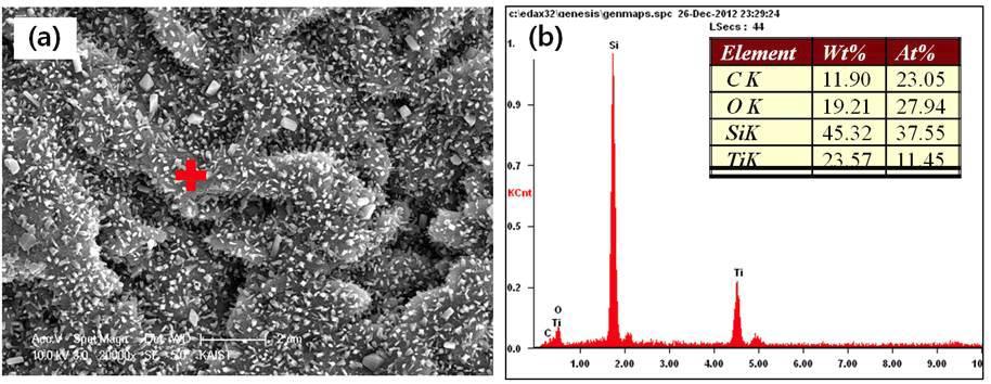 (a) Surface morphology of SiC with Ti coating and (b) point EDS analysis after corrosion test in steam at 400 °C and 200 bar for 300 h