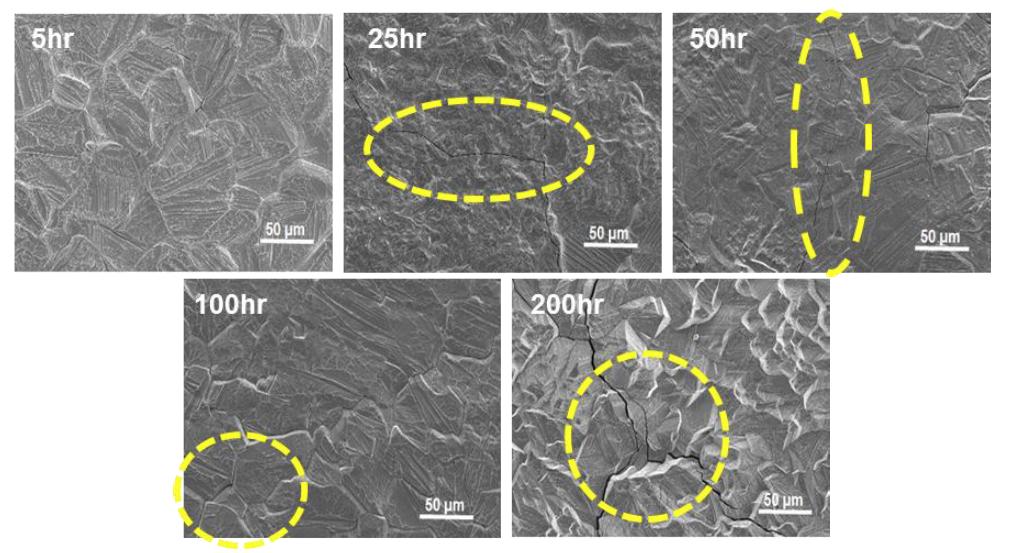 SEM images of surface oxide SS430