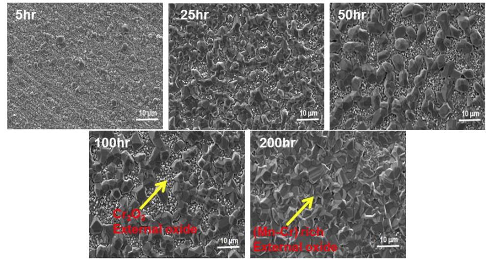 SEM images of surface oxide SS446