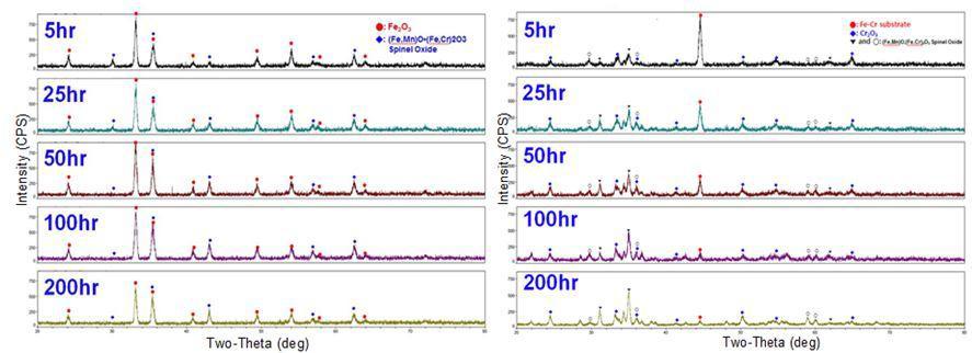 XRD results of SS430 (left) and SS446 (right) over time up to 200hr