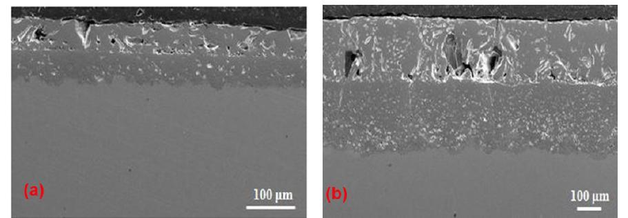 Cross-sectional SEM image of SS430 after (a) 5hr and (b) 200hr