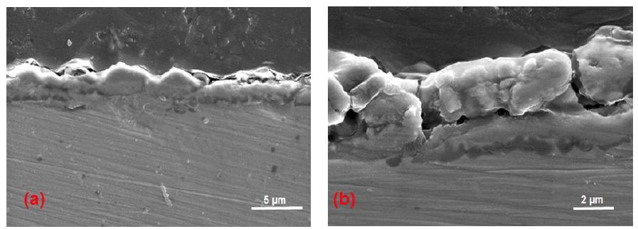 Cross-sectional SEM image of SS446 after (a) 5hr and (b) 200hr