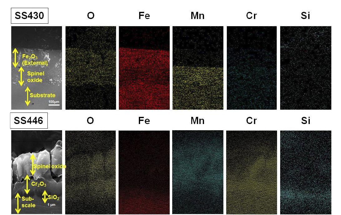 EDS mapping results of SS430 (up) and SS446 (bottom)