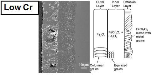 SS430 SEM image and schematic of main characteristics of oxide layer formed