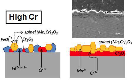 SS446 SEM image and schematic of main characteristics of oxide layer formed