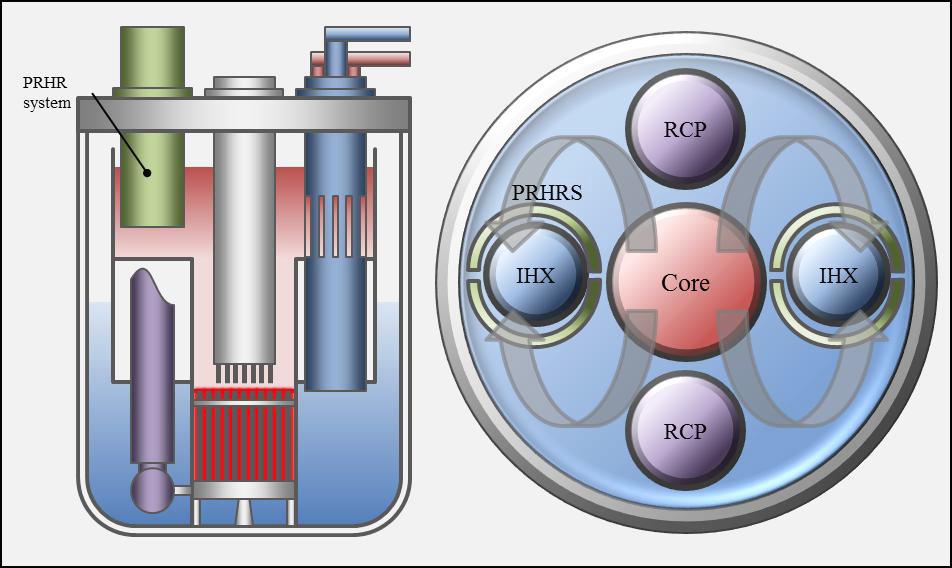 Schematic configuration of PRHR system in reactor vessel: Axial cross-sectional view (left) and radial cross sectional view (right)