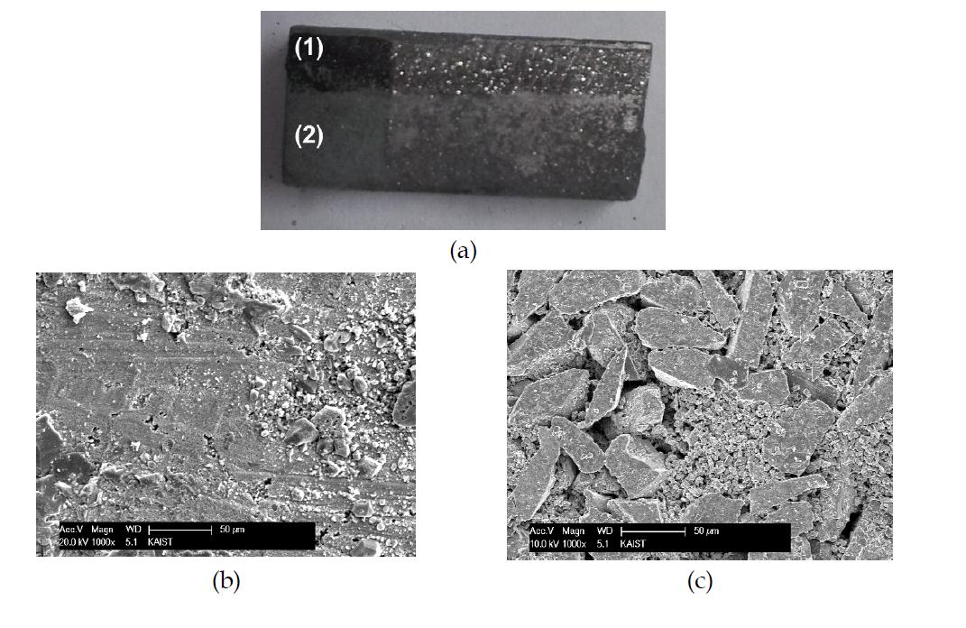 After corrosion tests of sintered SiC (a) for jig contacted area (b) and steam contacted area (c)