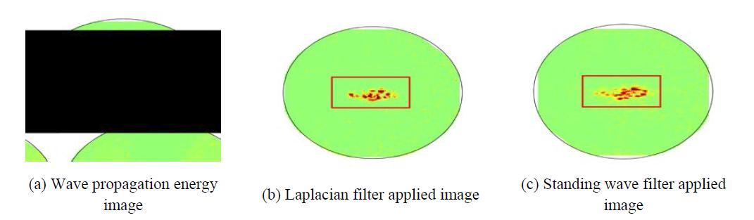 Damage visualization through signal and image processing