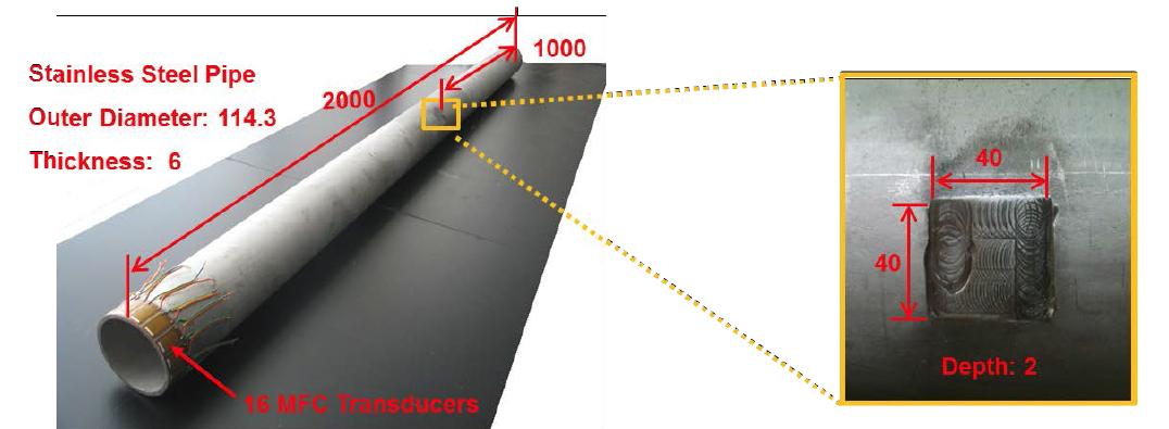 A pipe specimen for damage visualization technique evaluation