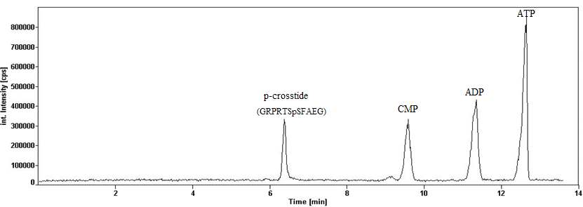 Figure 20. Typical electrophoregram of the reaction mixture containing SGK1 kinase and phosphorylated peptide (p-crosstide) obtained by CE-ICP/MS