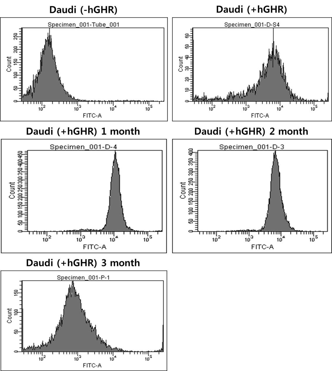 Figure 24. hGHR expression test and short-term stability test of Daudi