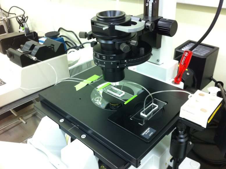 Figure 36. Microfluidic setup with microscope