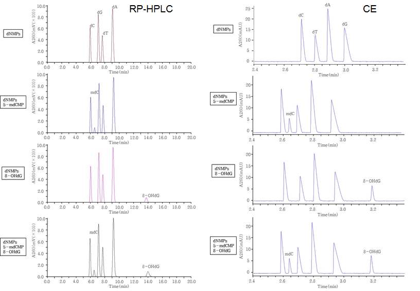Figure 37. Separation of dNMPs, 5-mdCMP, and 8-OHdG using RP-HPLC (left) and capillary electrophoresis (right) analysis