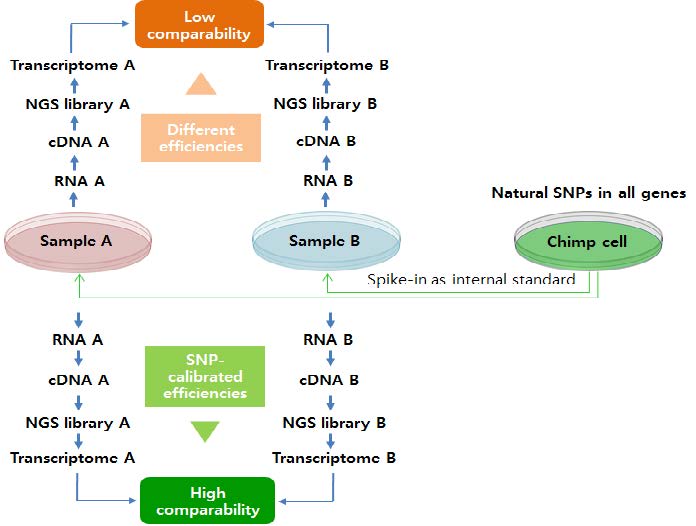 Figure 42. Concept of a standardized transcriptome analysis utilizing the genomes of closely related species as natural SNP internal standards