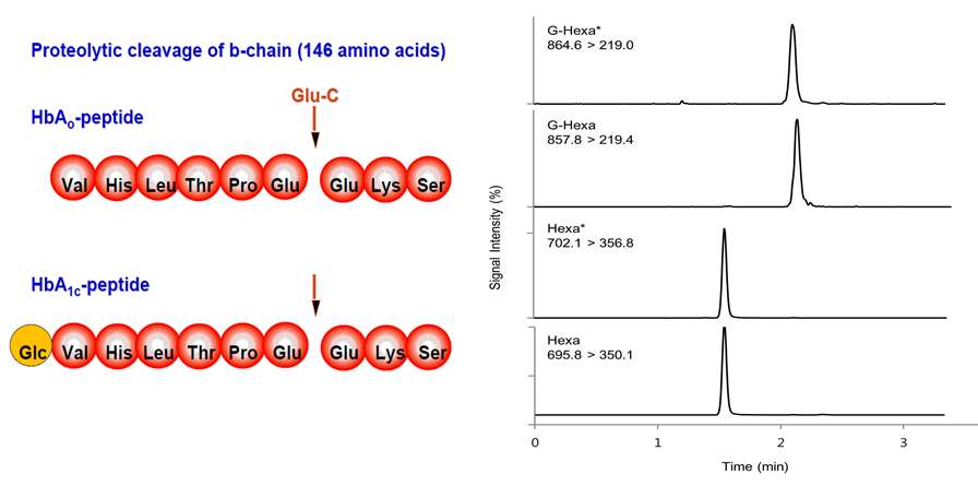 Figure 46. HbA1c anslysis using enzyme Glu-C and a representative LC-MS chromatograms of an HbA1c sample