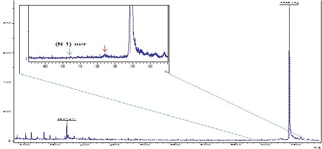 Figure 48. Analysis of (N-1)-mer impurities in micro RNA CRMs by MALDI-TOF