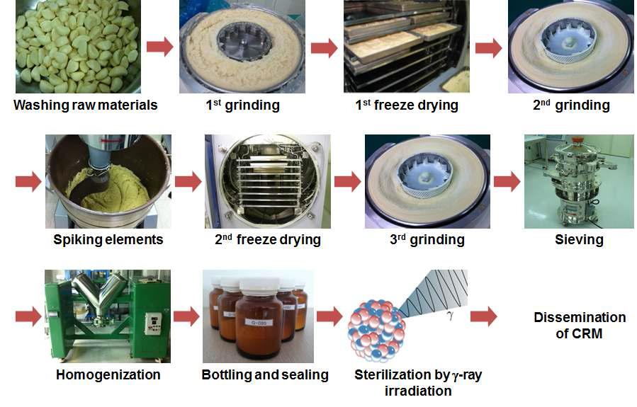 Preparation procedures of garlic candidate reference materials