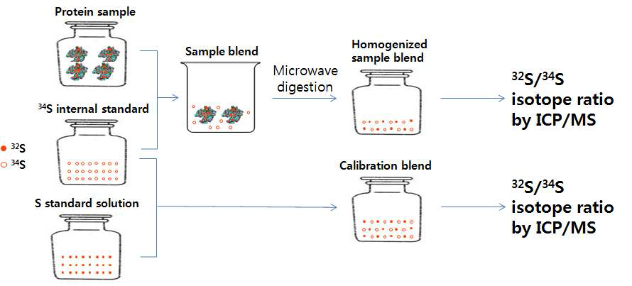 Concept of absolute protein quantification using sulfur isotope dilution ICP/MS