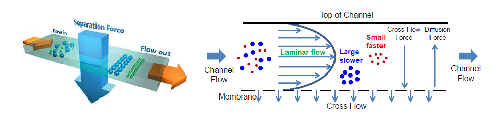 Principle of operation for asymmetrical flow FFF